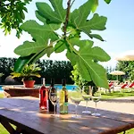 La Molinalda Appartement *
