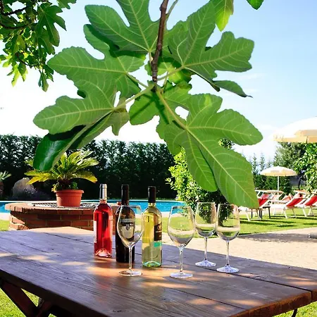 La Molinalda Apartman *