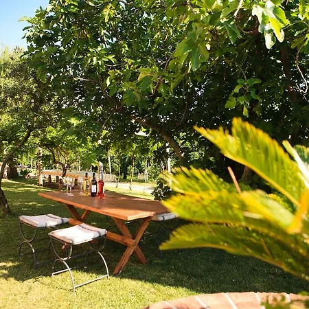 La Molinalda Daire